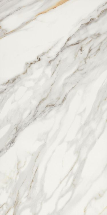 Marmi Macchiavecchia Levigato 24 x 48